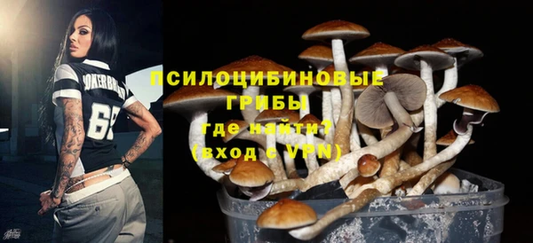 молекула духа Абдулино